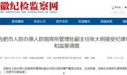 合肥市新闻爆料电话,倾听民声，守护城市脉搏